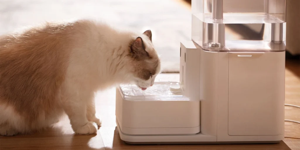 Best Automatic Pet Water Fountains