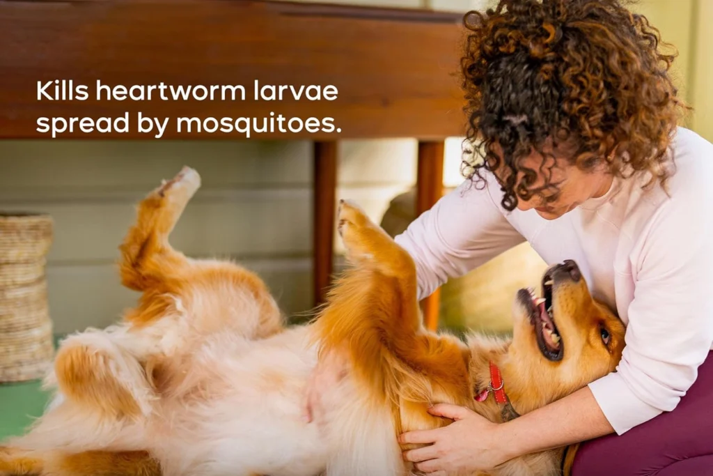 Best Dog Dewormer Flea Tick