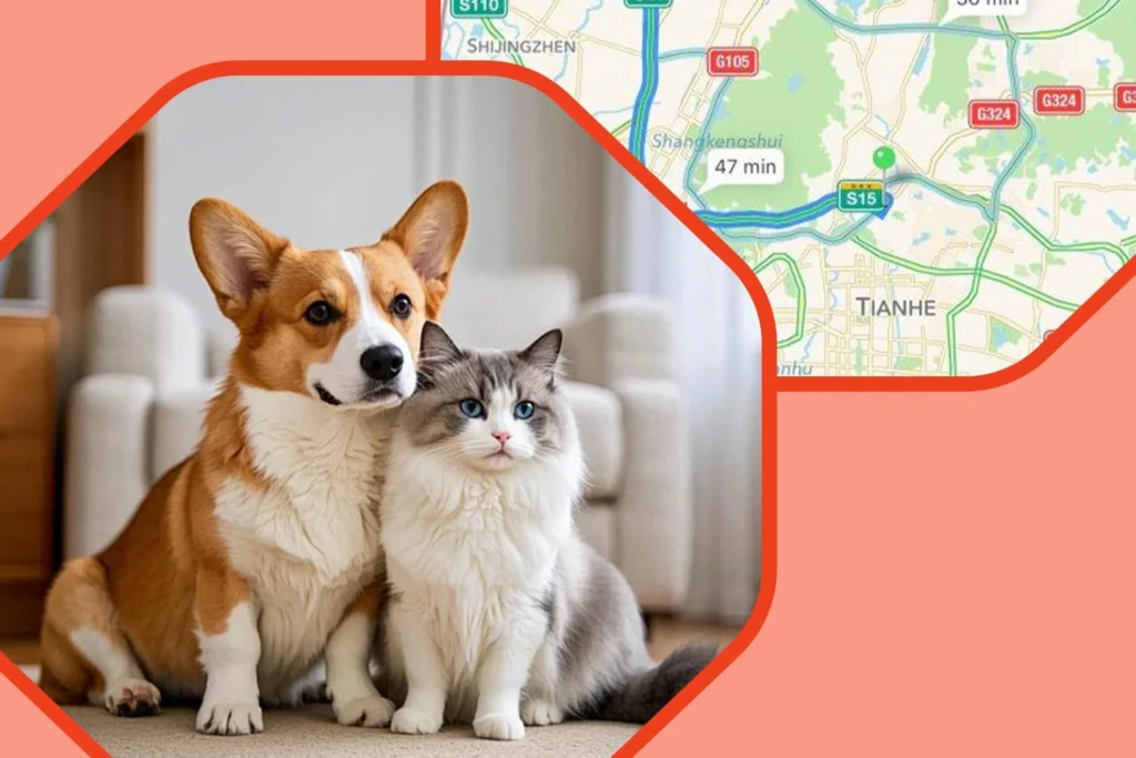 Best GPS Pet Tracker Collar