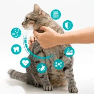 Care & Health