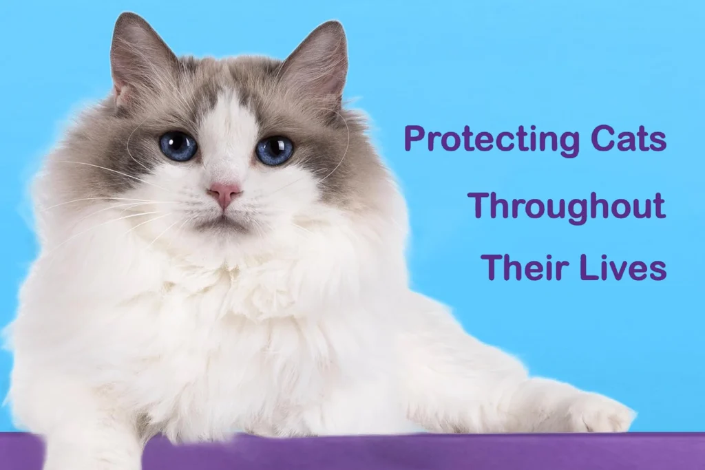 Best Cat Dewormer Flea Tick