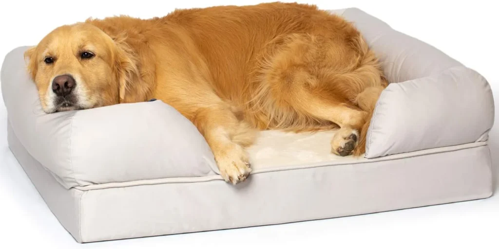 Best Dog Beds 2025