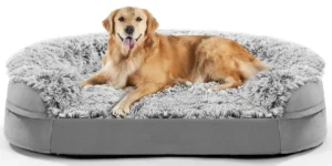 Best Dog Beds for Large Dogs