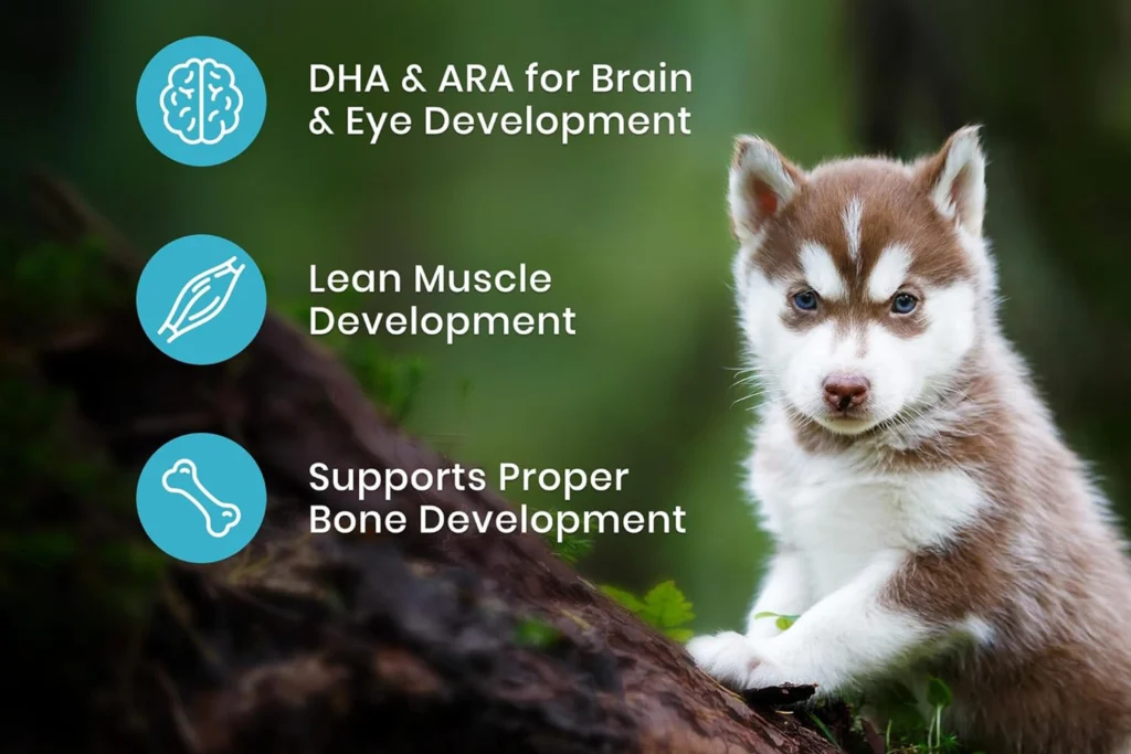 Best Dog Food Small Breeds