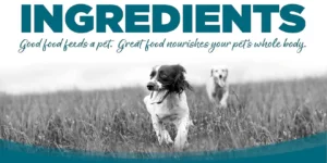 Best Grain-Free Dog Food