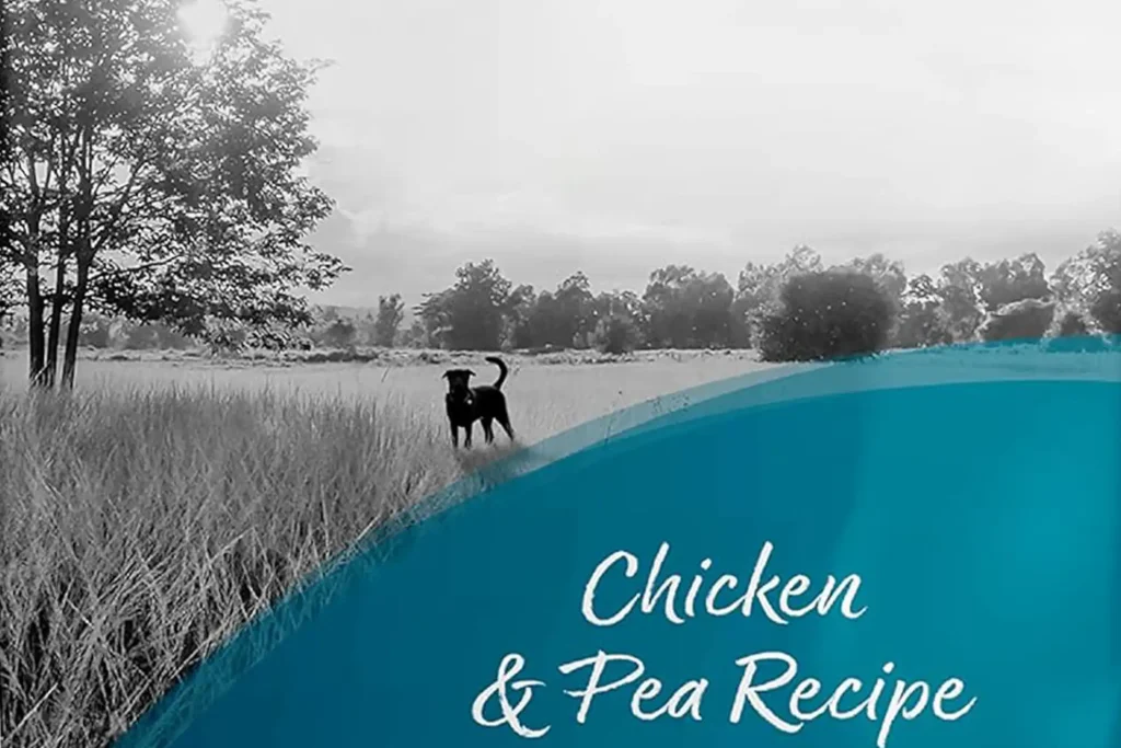 Best Grain-Free Dog Food 2025