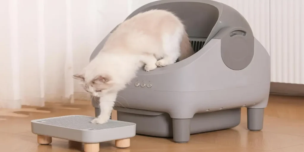 Best Smart Automatic Cat Litter Box 2025