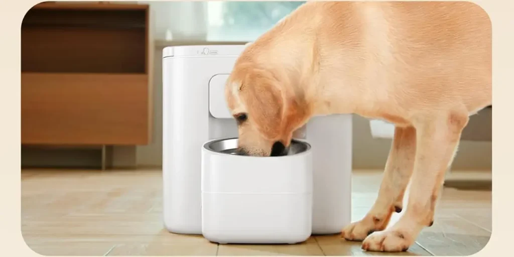 Best Smart Automatic Pet Feeder 2025
