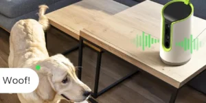 Best Smart Pet Cameras 2025