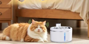 Cat Not Drinking Water Solutions Fountain