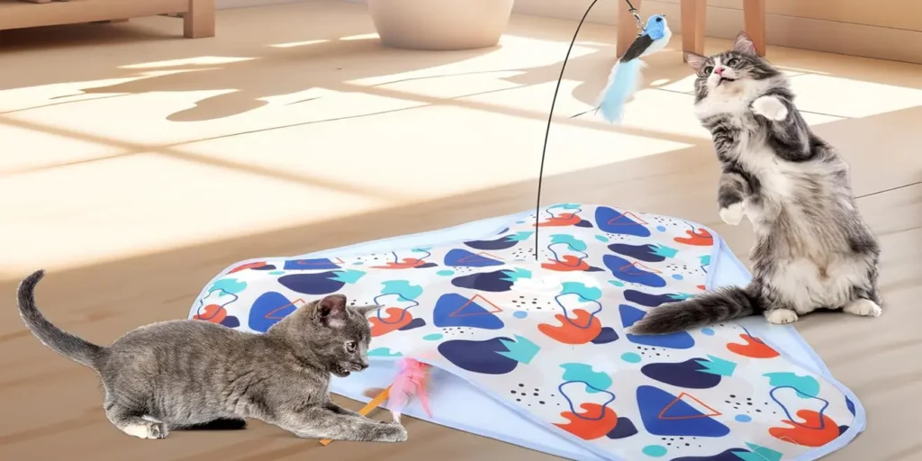 Essential Indoor Cat Gear 2025