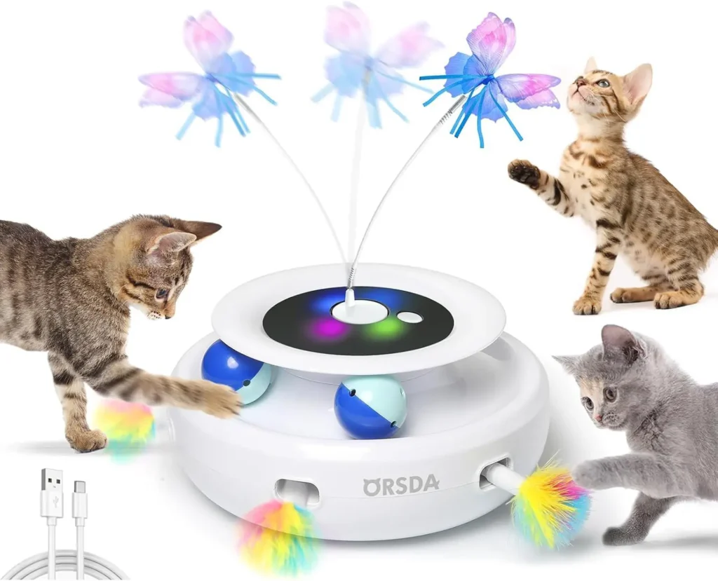 Essential Indoor Cat Gear 2025