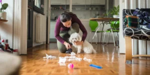 Pet Owner Beginner Mistakes
