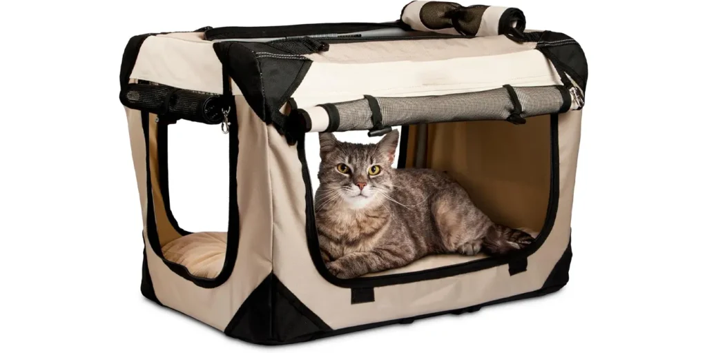 Best Cat Carriers 2025