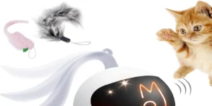 Best Cat Toys 2025