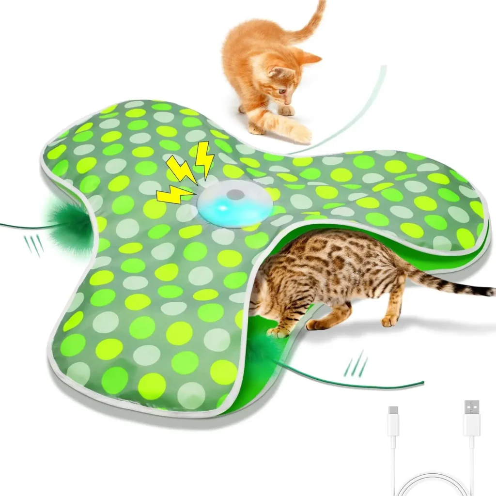 Best Cat Toys 2025