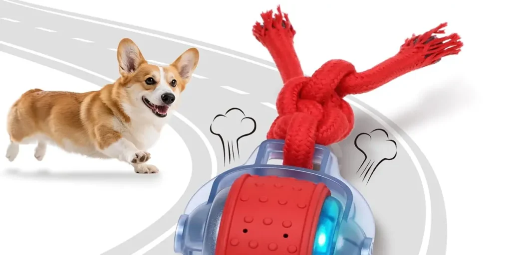 Best Dog Toys 2025