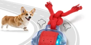 Best Dog Toys 2025