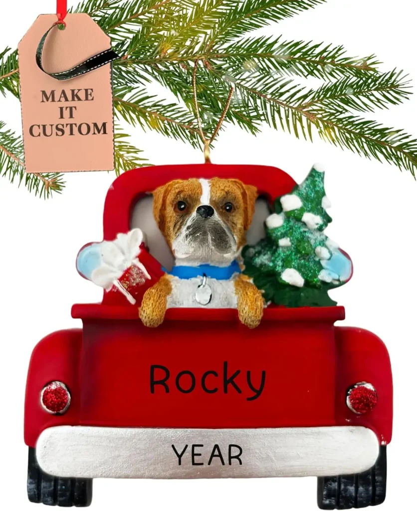 Best Holiday Pet Gifts 2025