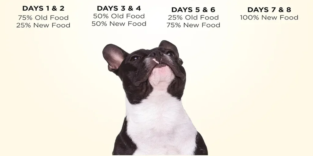 Natural Pet Food